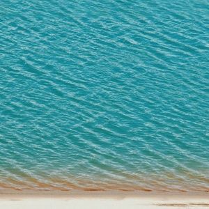 Meet your Posher, Nerika